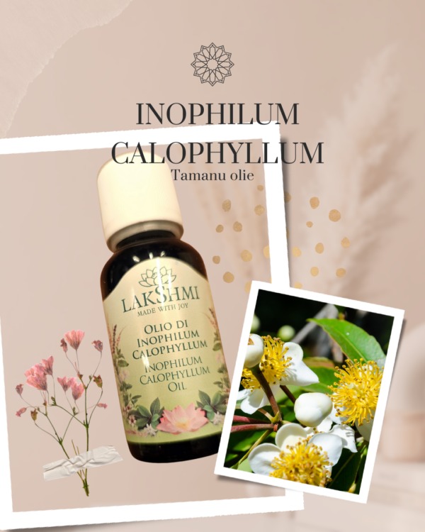 Inophilum Calophyllum Oil 30ml